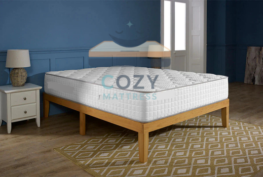Encapsulation 3000 Mattress